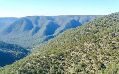 Bungonia National Park Camping