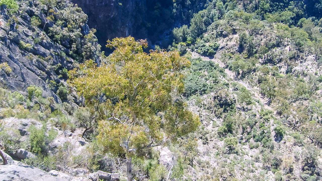 Bungonia National Park