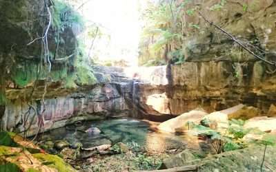 5 Popular Outback Trips From Brisbane For Your Bucket List