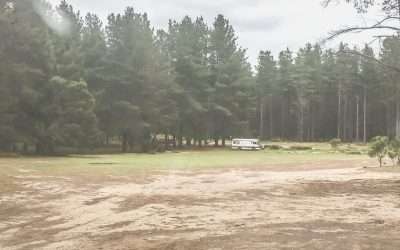 Belanglo State Forest Camping At Dalys Clearing