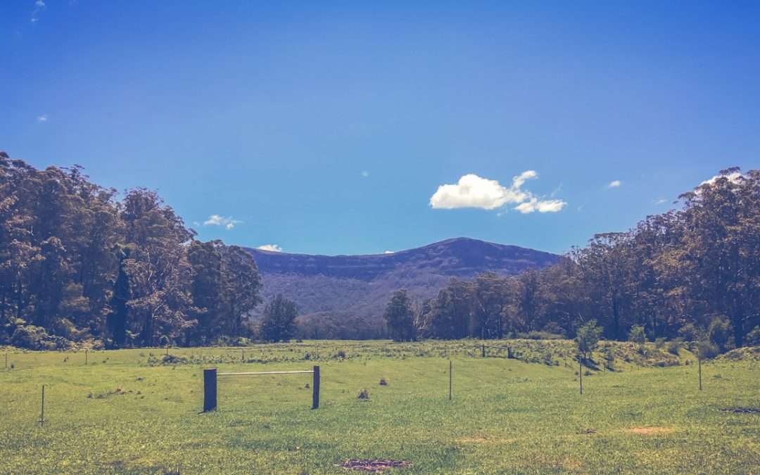 Yadboro Flat Free Camp