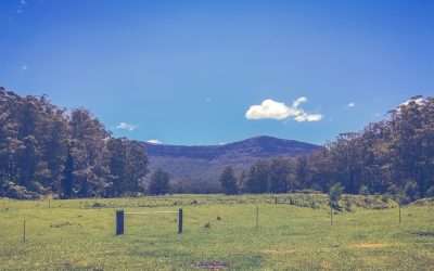 Yadboro Flat Free Camp