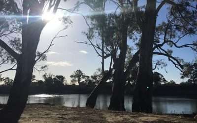 Free Camping Near Robinvale On The Murray River