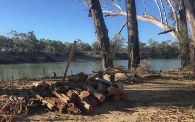 Camping By The River And Just Doing Nothing