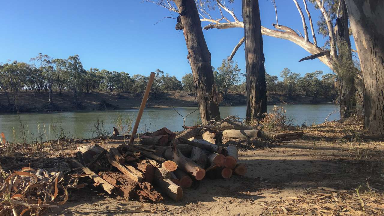 Camping By The River Some Firewood Collected