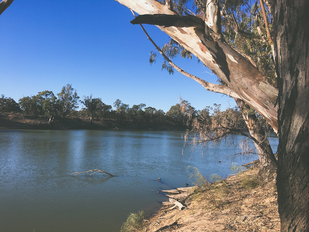 Free Camping Near Robinvale On Murray River