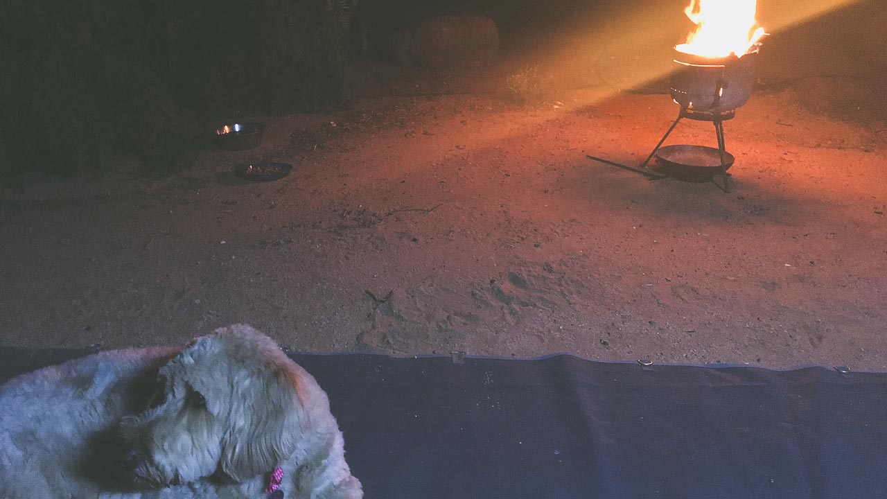 Graciee Enjoying Fire At Tibooburra Caravan Park