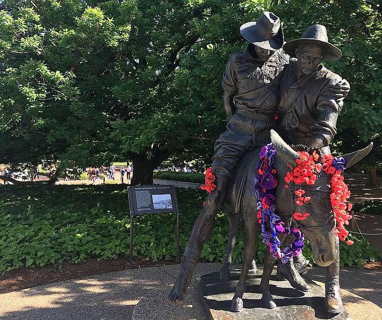 Poppies At The Australian War Memorial Remembrance Day 2018