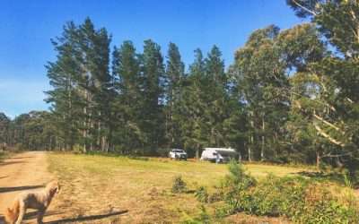 17 Best Campgrounds To Camp Near Sydney