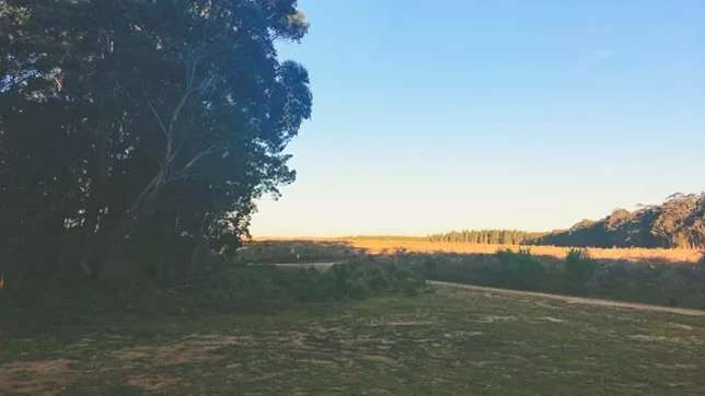 Wingello State Forest Free Camping For The Weekend