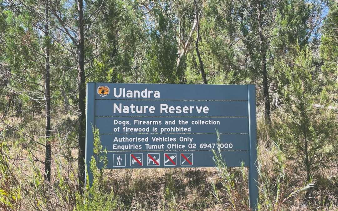 Eulolo Homestead Bushwalk In Ulandra Nature Reserve