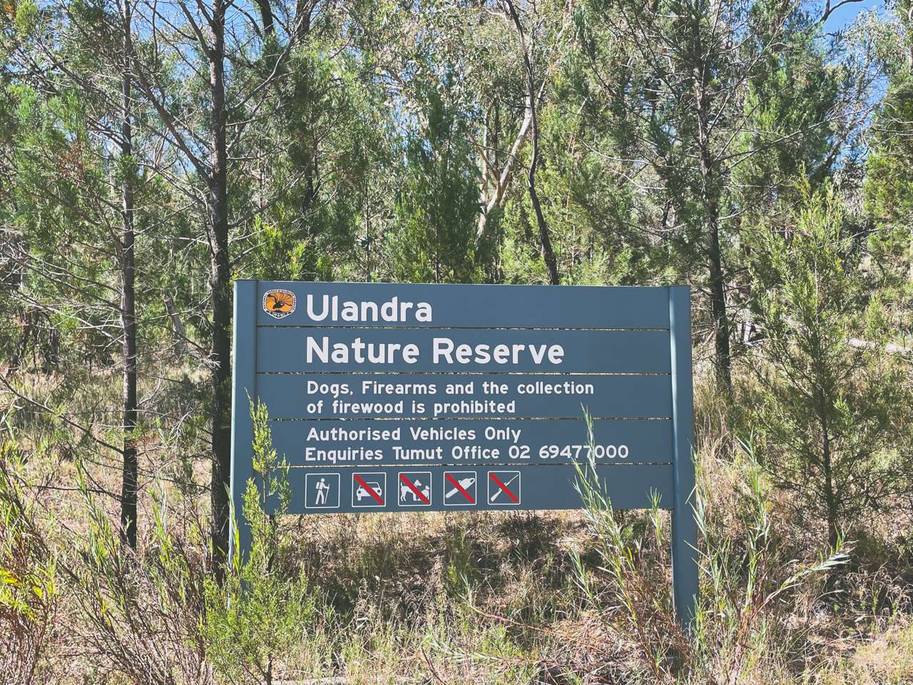 Eulolo Homestead Ulandra Nature Reserve Bethungra NSW Bushwalk