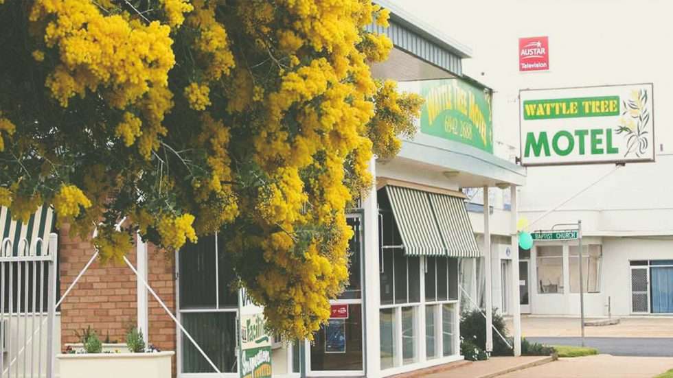 10 Things To Do In Cootamundra Follow Our Travels