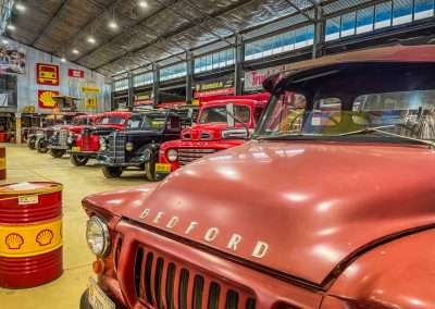 Line Up Of Restored Bedfords