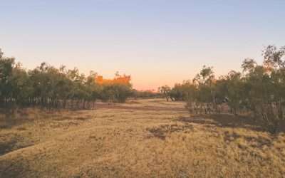 Camooweal Billabong Free Camping