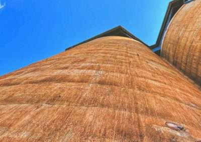 Buddigower Silos