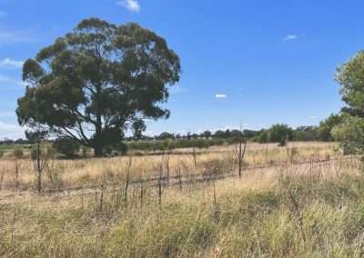 Rail Siding At Buddigower Grain Silos