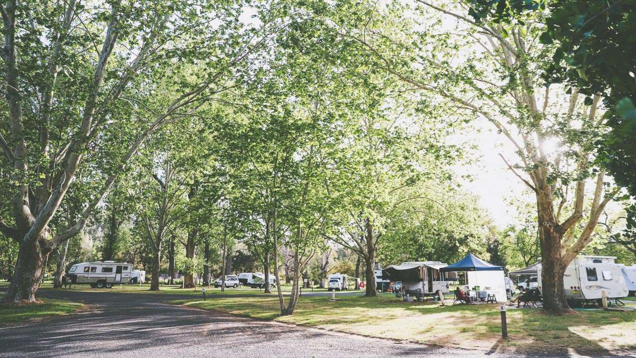 Riverglad Caravan Park Autumn Colours