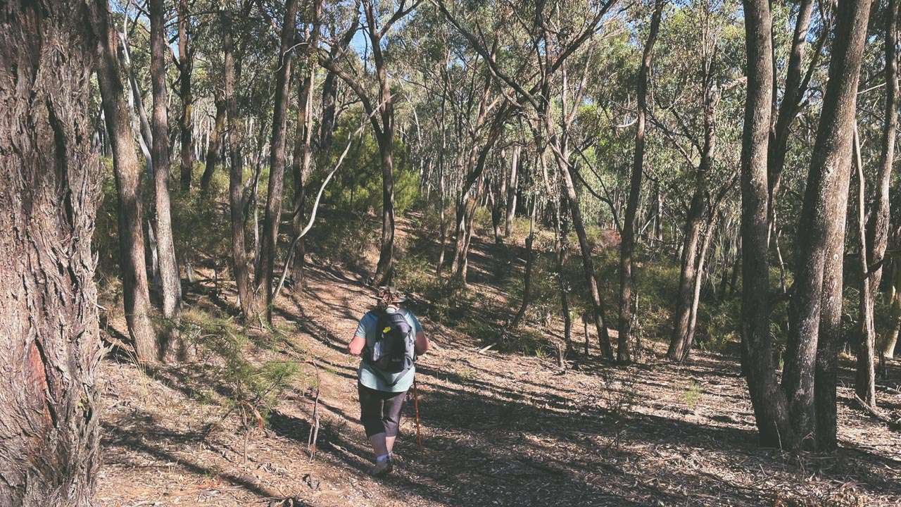 Amanda On Scotts Loop The Valley And Echidna Track