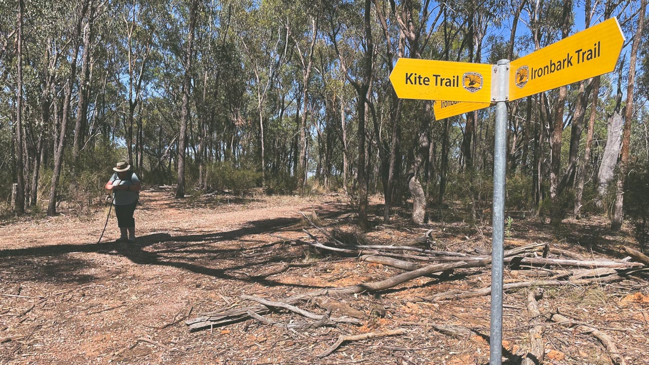 Kite Trail And Ironbark Trail Intersection