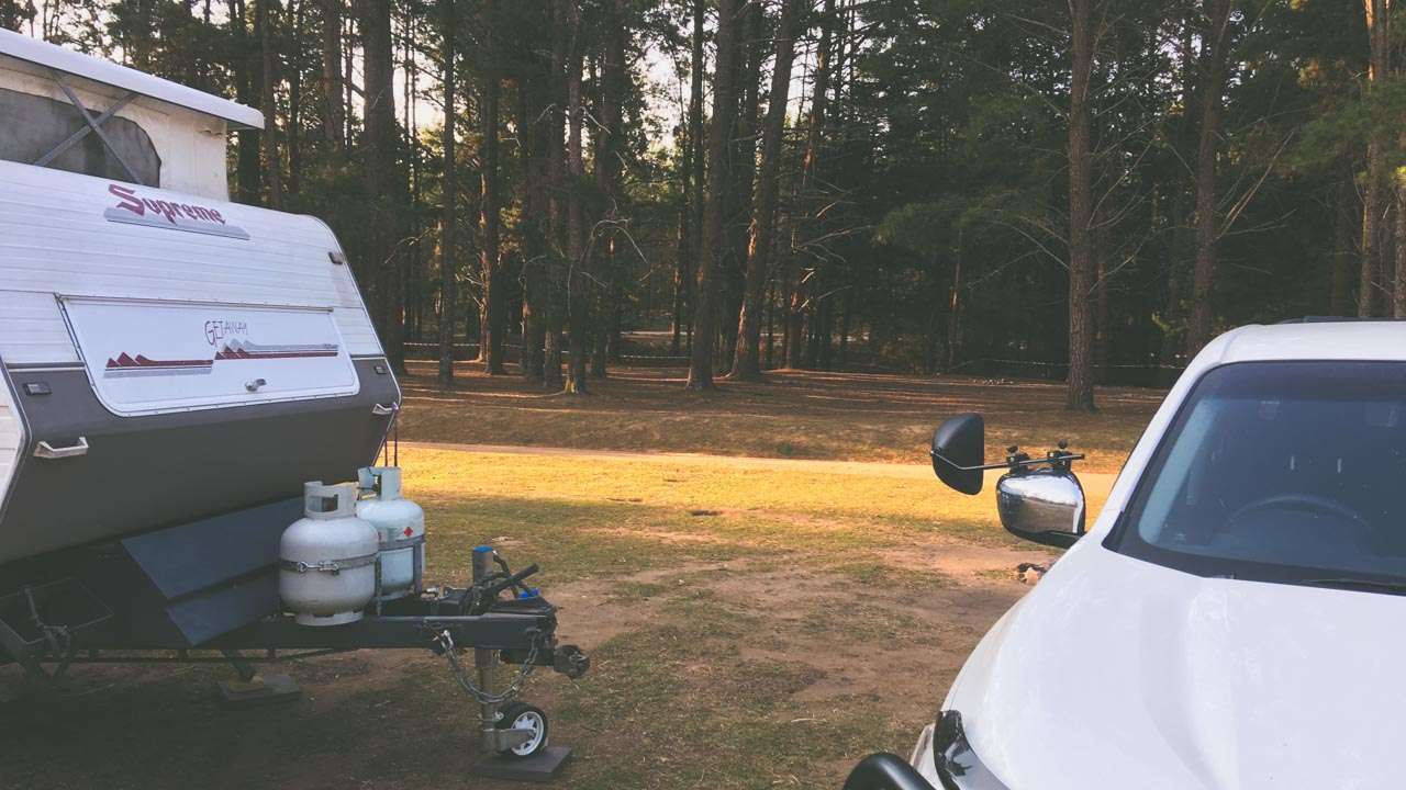 Camping In Wingello State Forest