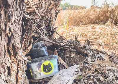 Happy Halloween Cache