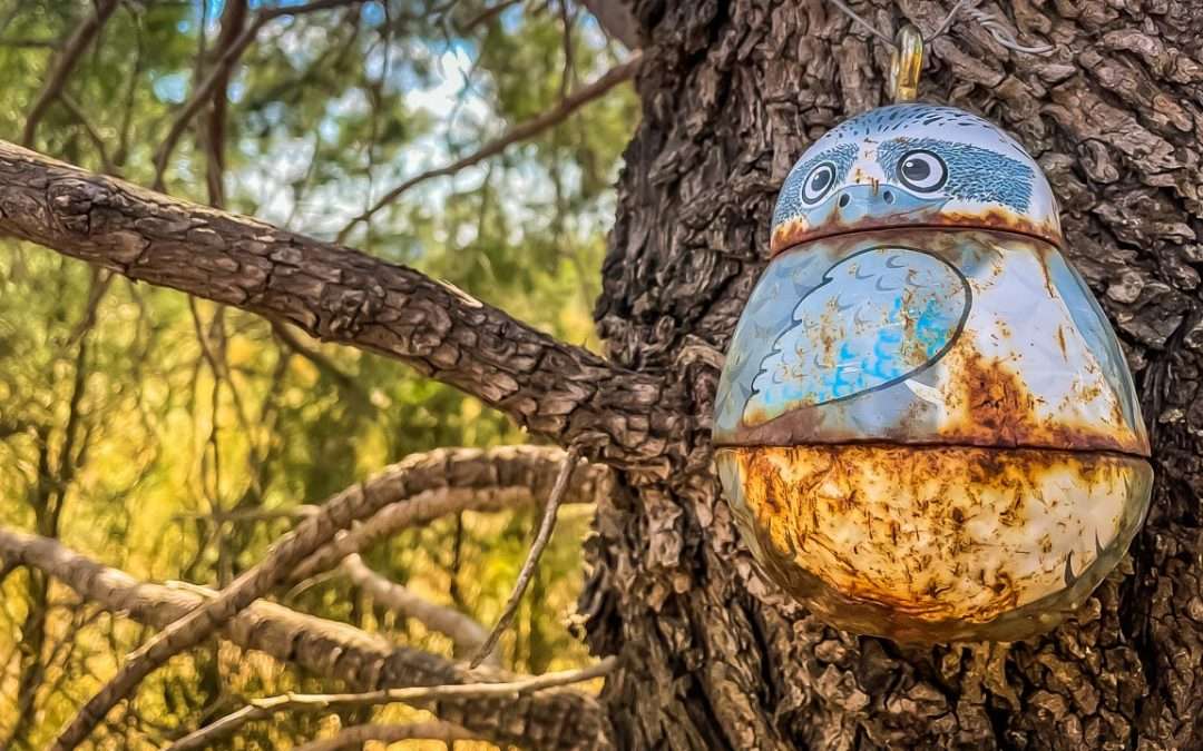 Geocaching Around Grenfell – It’s A Geocache Hotspot!