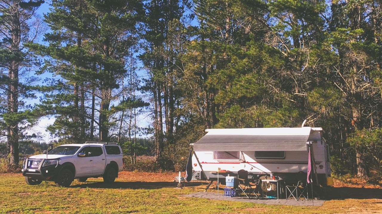 Random Campsite In Wingello State Forest