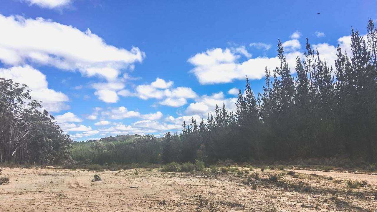 State Forest Camping In Penrose State Forest
