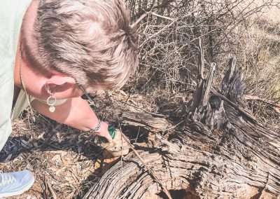 Temora Bush Camp Geocache Find RV004