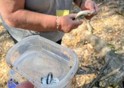 Thats Some Nice Swag