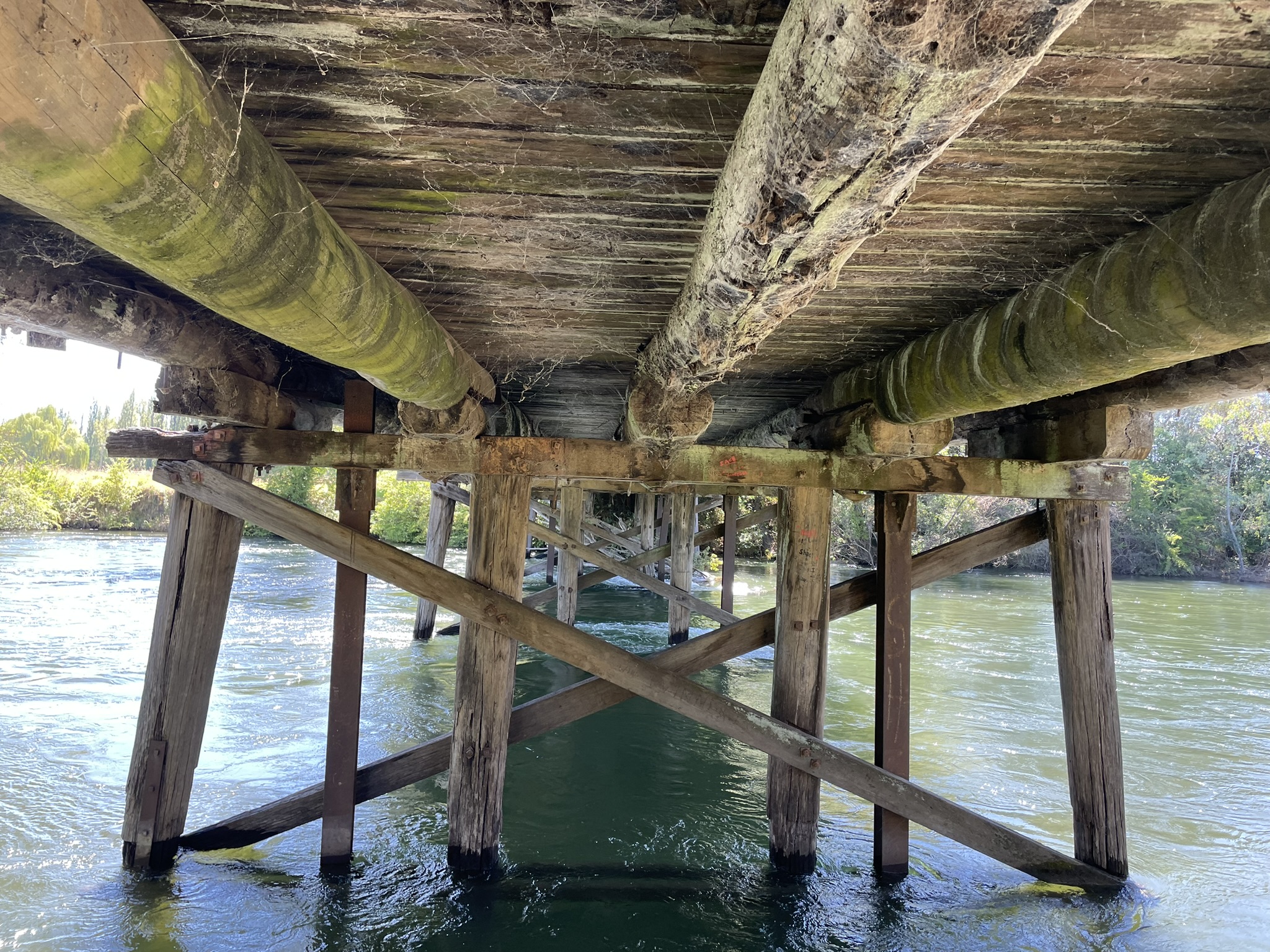 Underneath View of The Old Tumut River Bridge