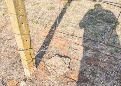 Whats Hiding Under The Concrete