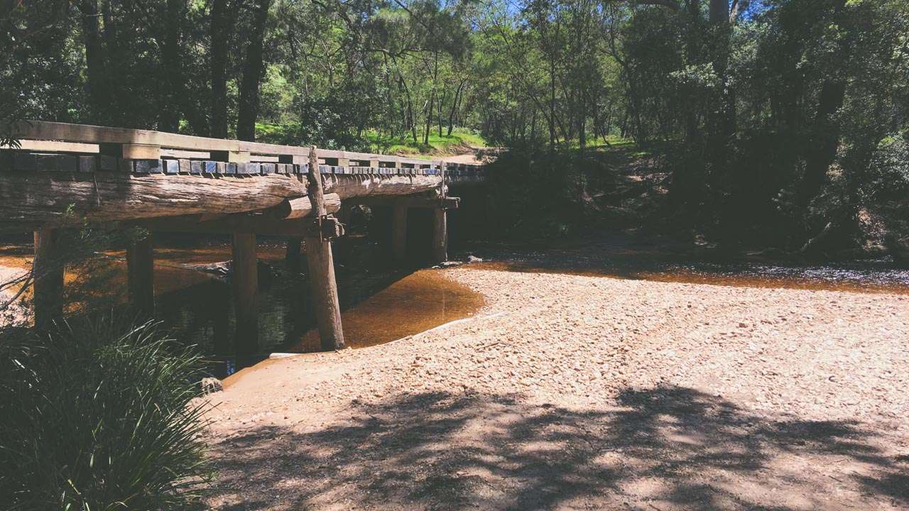 Yadboro State Forest Old Trestle Bridge
