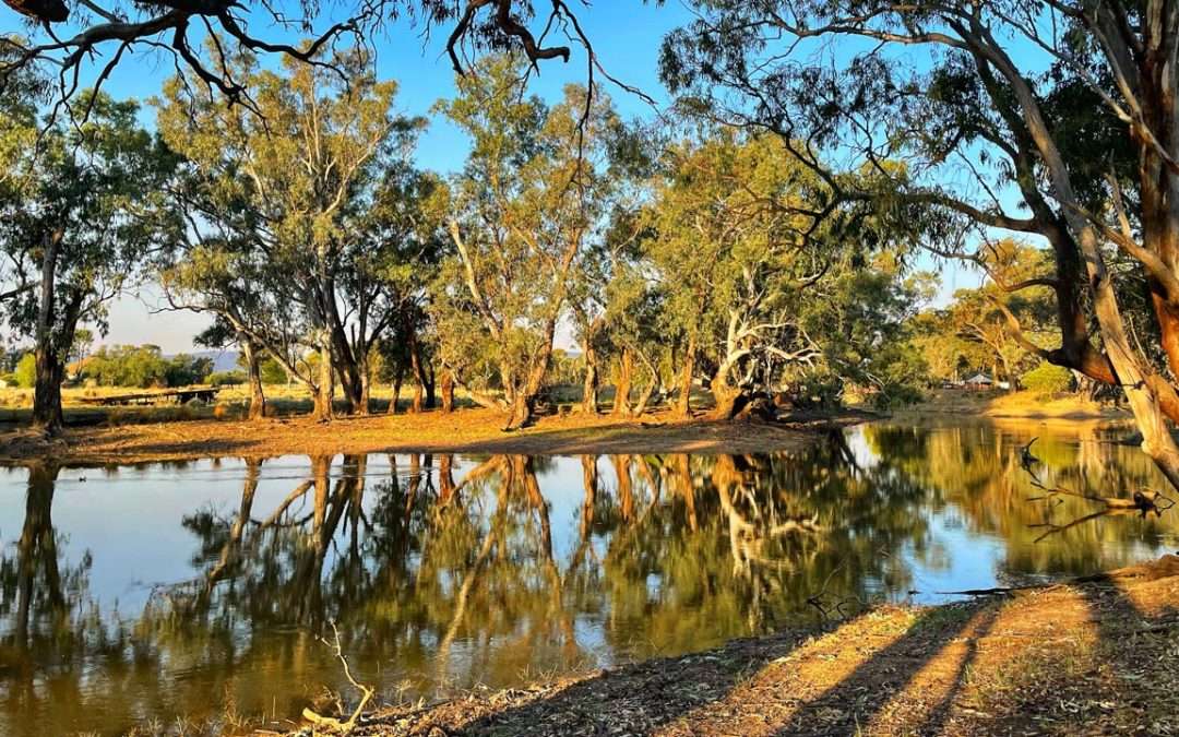 Ben Hall Creek Camp Near Grenfell – Hipcamp