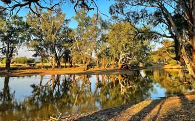 Ben Hall Creek Camp Near Grenfell – Hipcamp