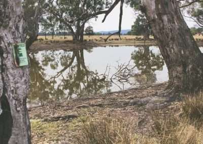 Wentworth Station Camping