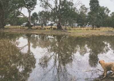 Wentworth Station Pet Friendly Camping