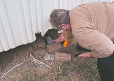 Betelgeuse Betelgeuse Betelgeuse At Muttama