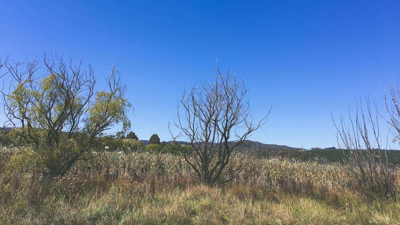 Camping At Wallerawang Near Lithgow