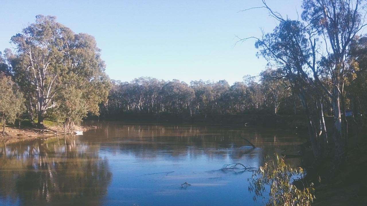 Free Camp Spot On The Murray Near Moama