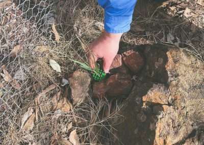 Geocache Found Near Coolamon NSW