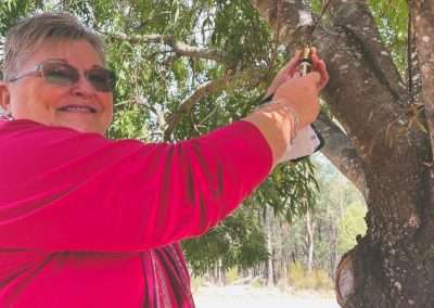 Geocache Found in Coolamon Cemetary