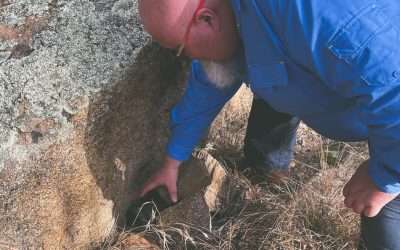Geocaching Around Marrar – Coolamon – Berry Jerry