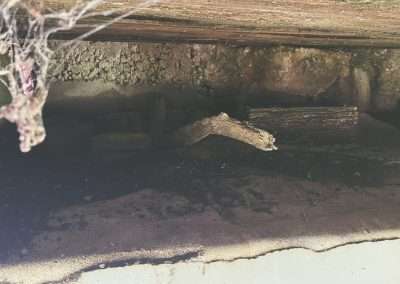 Geocaching Around Tumut Located One Under The Old Bridge