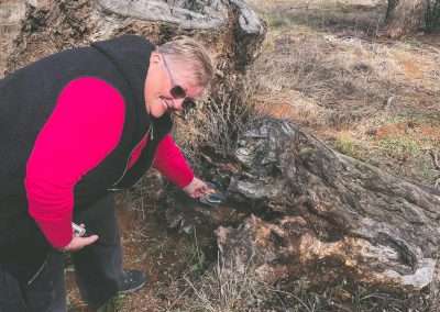 Geocaching At Old Junee Near The Recreation Grounds