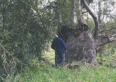 Geocaching In The Wetlands At Tumut