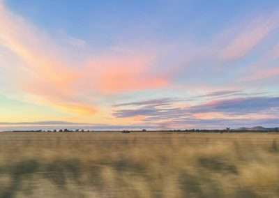 Near Cootamundra on The Way Home