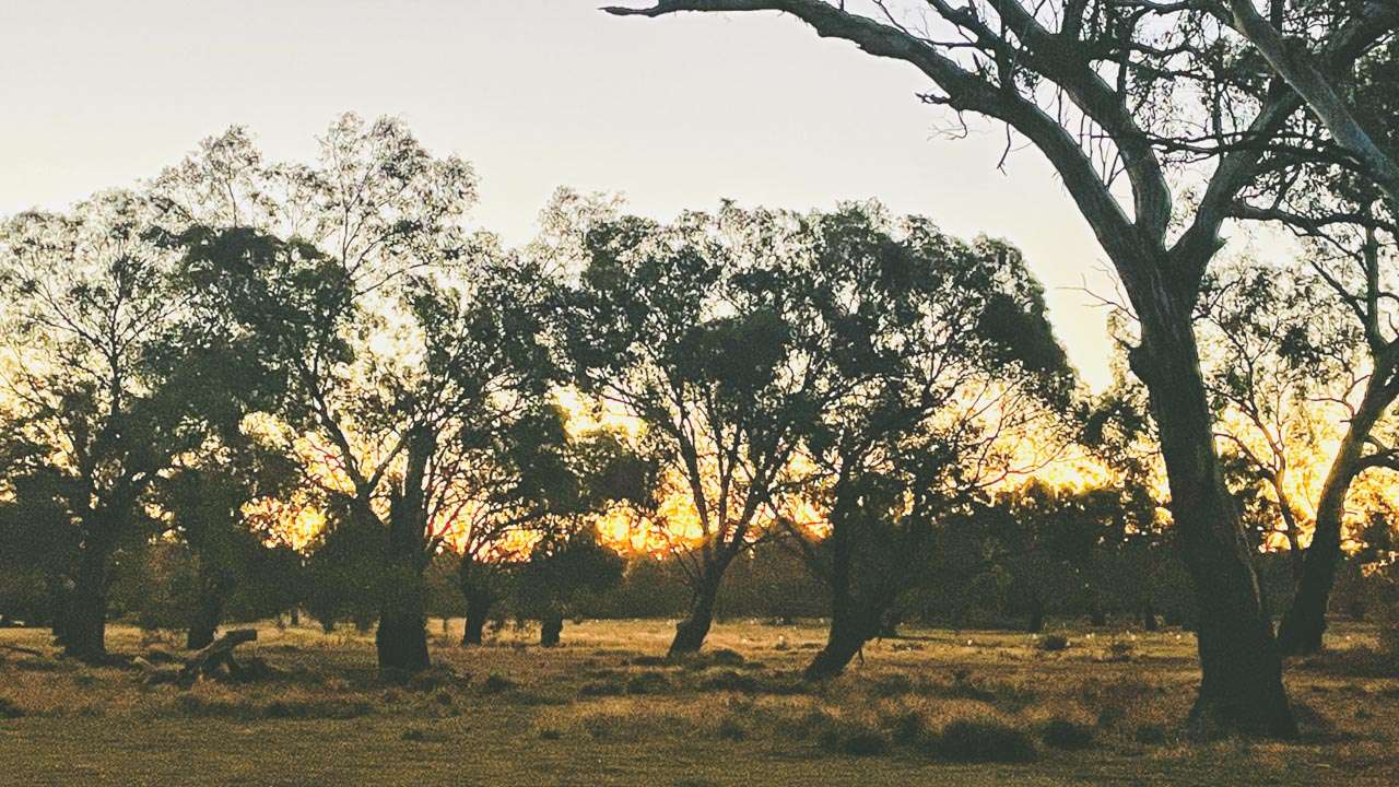 Old Junee Campground