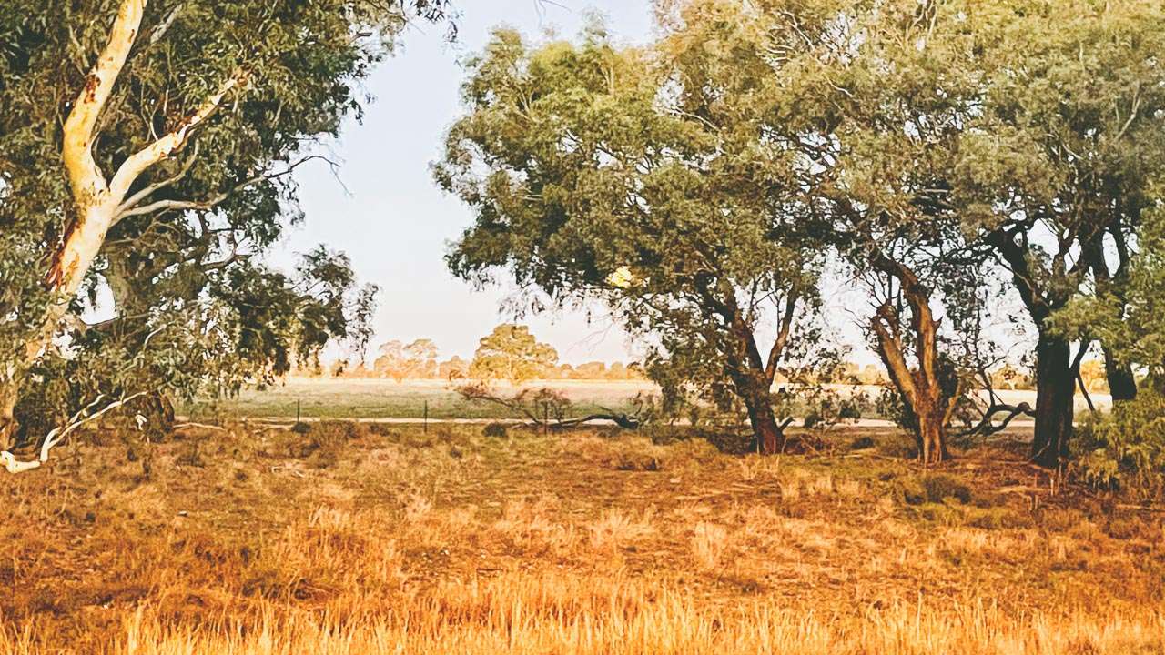 Old Junee Recreation Grounds